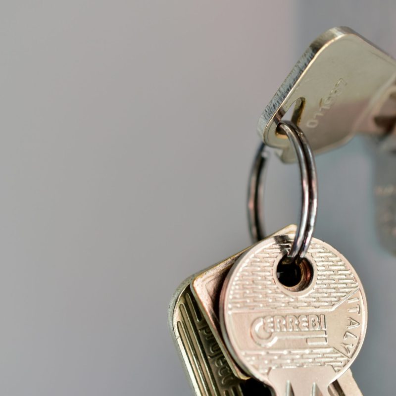 ries-bosch-5Dp7XJxILTk-unsplash